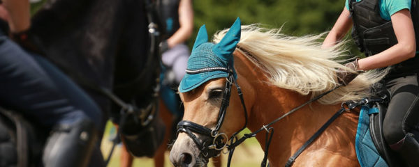 Airbag d'équitation