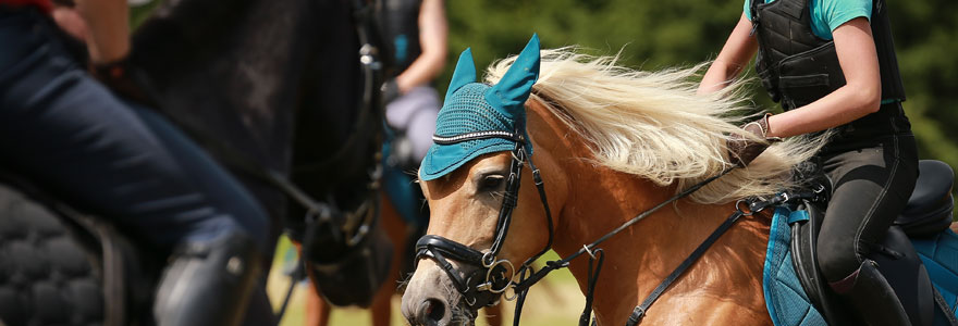 Airbag d'équitation